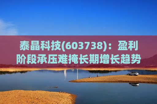 泰晶科技(603738)：盈利阶段承压难掩长期增长趋势 加码车规高附加值产品序列