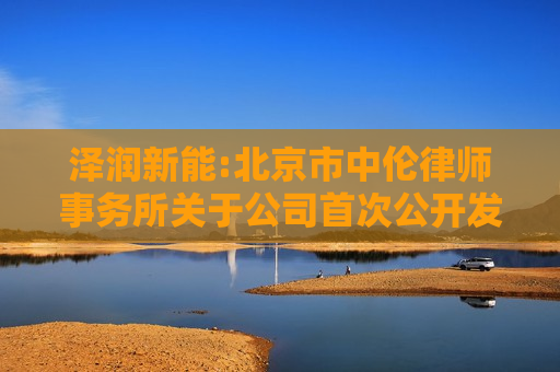 泽润新能:北京市中伦律师事务所关于公司首次公开发行股票并在创业板上市的法律意见书