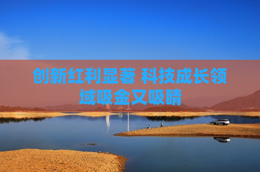 创新红利显著 科技成长领域吸金又吸睛