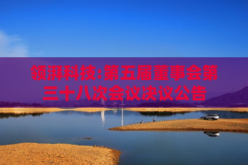 领湃科技:第五届董事会第三十八次会议决议公告