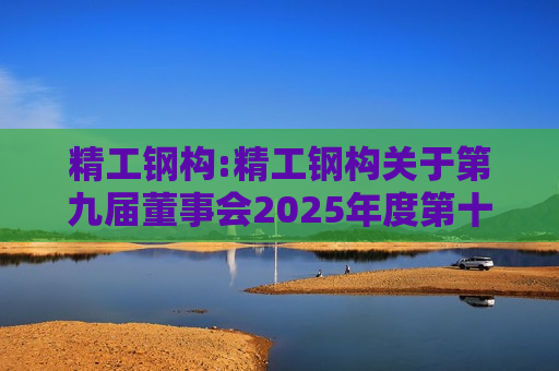 精工钢构:精工钢构关于第九届董事会2025年度第十次临时会议决议公告
