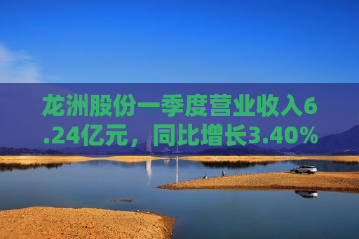 龙洲股份一季度营业收入6.24亿元，同比增长3.40%