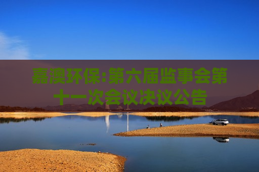 嘉澳环保:第六届监事会第十一次会议决议公告