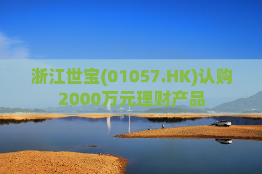 浙江世宝(01057.HK)认购2000万元理财产品