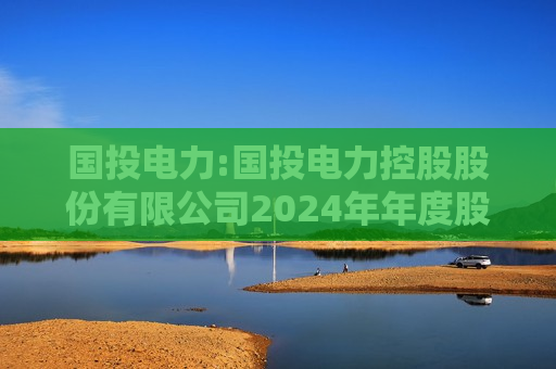 国投电力:国投电力控股股份有限公司2024年年度股东大会会议材料