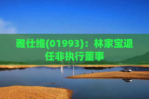 雅仕维(01993)：林家宝退任非执行董事
