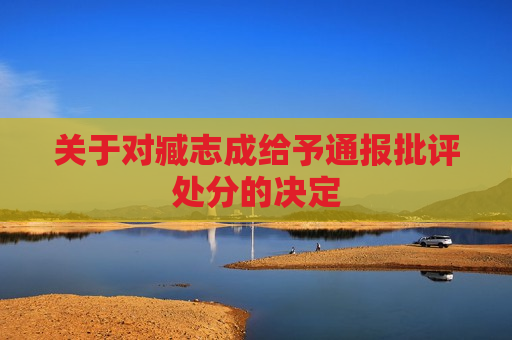 关于对臧志成给予通报批评处分的决定