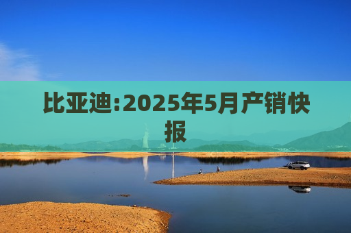 比亚迪:2025年5月产销快报