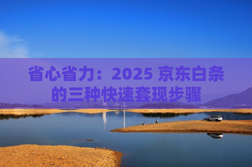省心省力：2025 京东白条的三种快速套现步骤