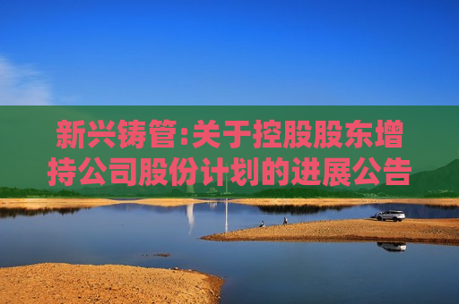 新兴铸管:关于控股股东增持公司股份计划的进展公告