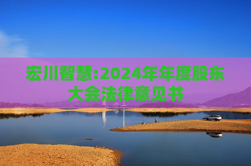 宏川智慧:2024年年度股东大会法律意见书