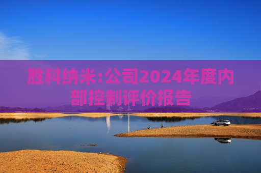 胜科纳米:公司2024年度内部控制评价报告