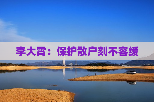 李大霄：保护散户刻不容缓