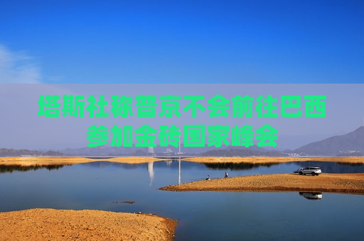 塔斯社称普京不会前往巴西参加金砖国家峰会
