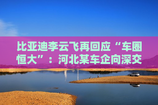 比亚迪李云飞再回应“车圈恒大”：河北某车企向深交所、港交所及监管机构恶意举报比亚迪