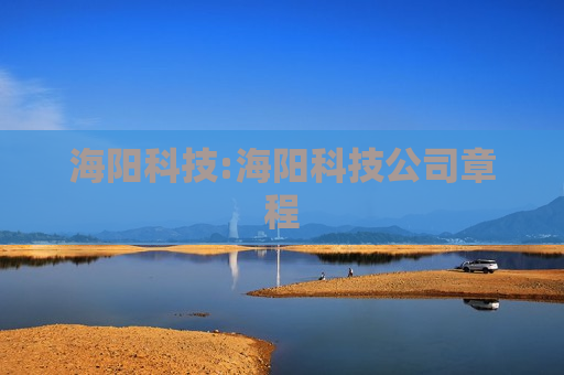 海阳科技:海阳科技公司章程