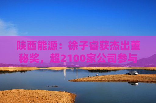 陕西能源：徐子睿获杰出董秘奖，超2100家公司参与评选