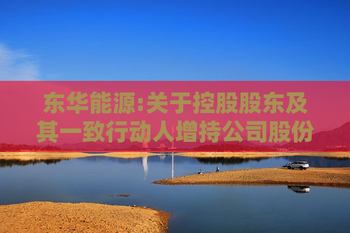 东华能源:关于控股股东及其一致行动人增持公司股份计划实施进展暨增持时间过半的公告