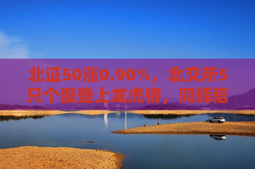北证50涨0.90%，北交所5只个股登上龙虎榜，同辉信息、中设咨询等在列（附名单）