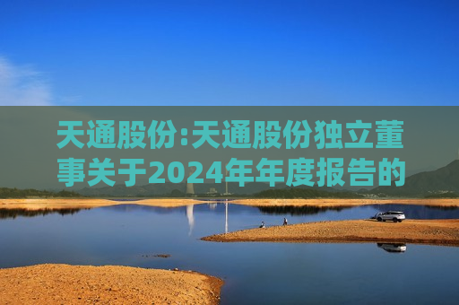天通股份:天通股份独立董事关于2024年年度报告的信息披露监管问询函所涉事项的独立意见