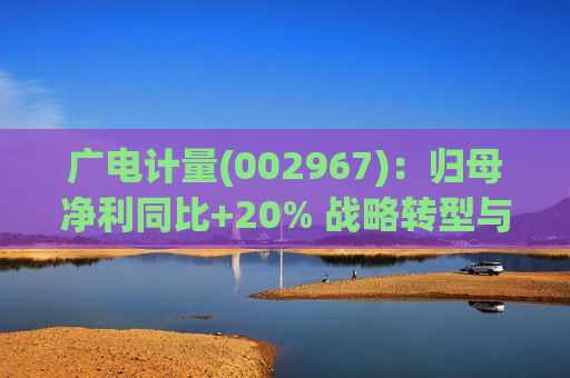 广电计量(002967)：归母净利同比+20% 战略转型与政策拉动共振增长