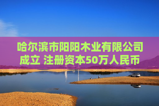 哈尔滨市阳阳木业有限公司成立 注册资本50万人民币