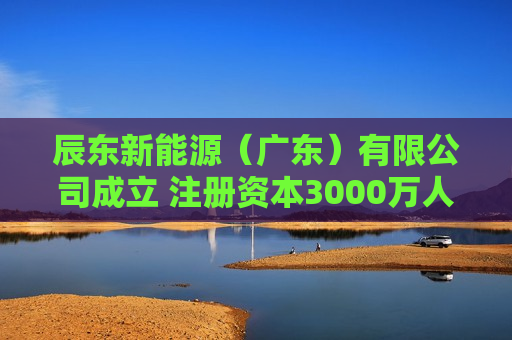 辰东新能源（广东）有限公司成立 注册资本3000万人民币