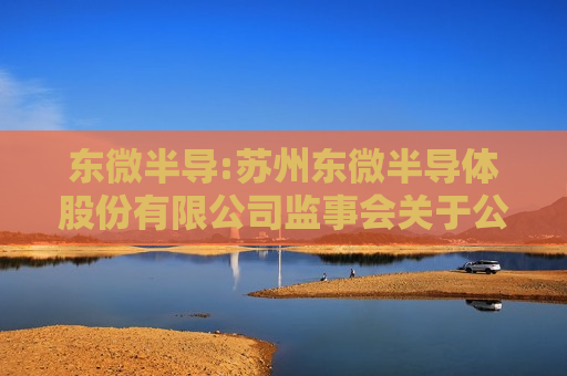 东微半导:苏州东微半导体股份有限公司监事会关于公司2025年限制性股票激励计划（草案）的核查意见