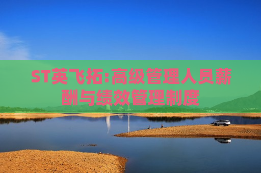 ST英飞拓:高级管理人员薪酬与绩效管理制度