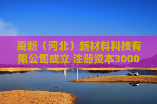 禹新（河北）新材料科技有限公司成立 注册资本3000万人民币