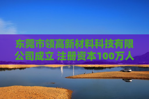 东莞市领高新材料科技有限公司成立 注册资本100万人民币