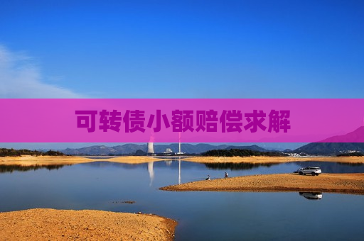 可转债小额赔偿求解