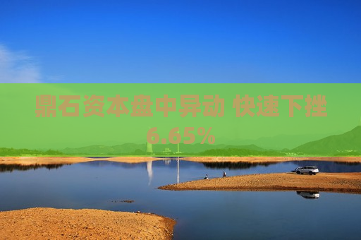 鼎石资本盘中异动 快速下挫6.65%
