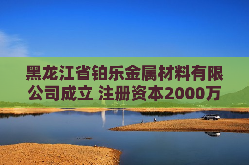 黑龙江省铂乐金属材料有限公司成立 注册资本2000万人民币