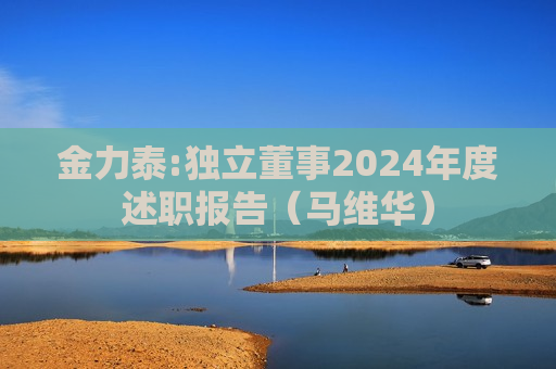 金力泰:独立董事2024年度述职报告（马维华）