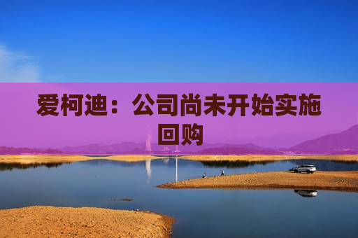 爱柯迪：公司尚未开始实施回购