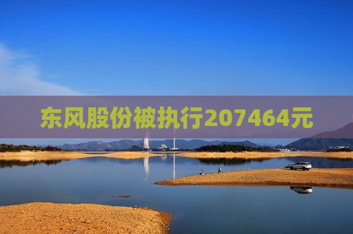 东风股份被执行207464元