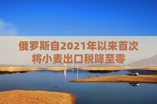 俄罗斯自2021年以来首次将小麦出口税降至零