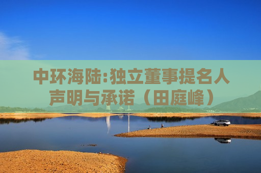 中环海陆:独立董事提名人声明与承诺（田庭峰）