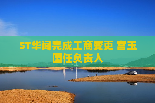ST华闻完成工商变更 宫玉国任负责人