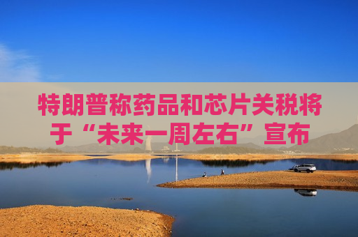 特朗普称药品和芯片关税将于“未来一周左右”宣布
