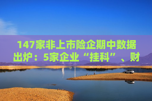 147家非上市险企期中数据出炉：5家企业“挂科”、财寿险利润双增