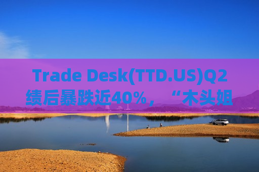 Trade Desk(TTD.US)Q2绩后暴跌近40%，“木头姐”火速抄底超72.5万股