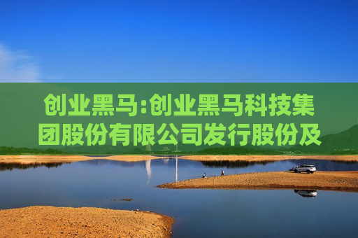 创业黑马:创业黑马科技集团股份有限公司发行股份及支付现金购买资产并募集配套资金报告书（草案）（修订稿）