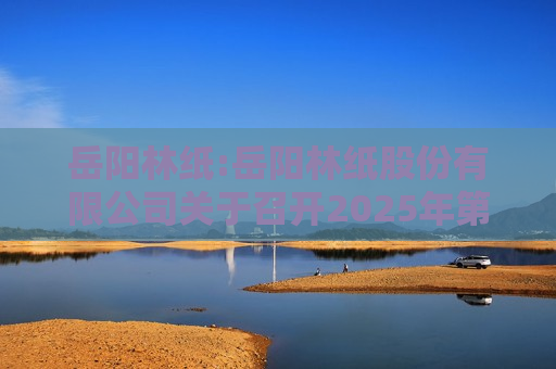 岳阳林纸:岳阳林纸股份有限公司关于召开2025年第二次临时股东大会的通知