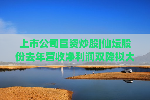上市公司巨资炒股|仙坛股份去年营收净利润双降拟大规模“炒股” 10亿元额度占净资产的21%