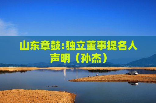 山东章鼓:独立董事提名人声明（孙杰）