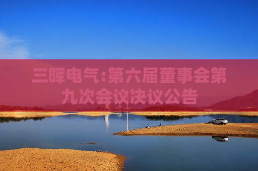三晖电气:第六届董事会第九次会议决议公告