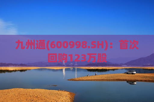 九州通(600998.SH)：首次回购123万股