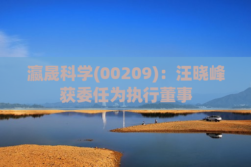 瀛晟科学(00209)：汪晓峰获委任为执行董事
